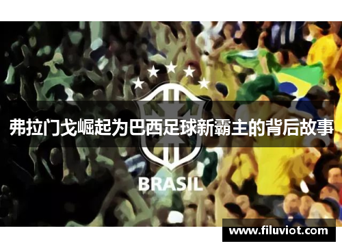 弗拉门戈崛起为巴西足球新霸主的背后故事 弗拉门戈崛起为巴西足球新霸主的背后故事
