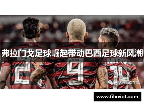 弗拉门戈足球崛起带动巴西足球新风潮