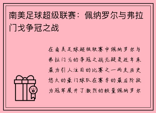 南美足球超级联赛：佩纳罗尔与弗拉门戈争冠之战